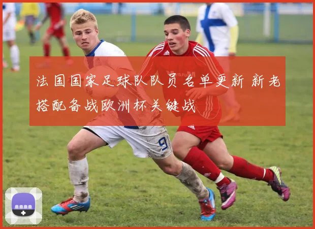 法国国家足球队队员名单更新 新老搭配备战欧洲杯关键战