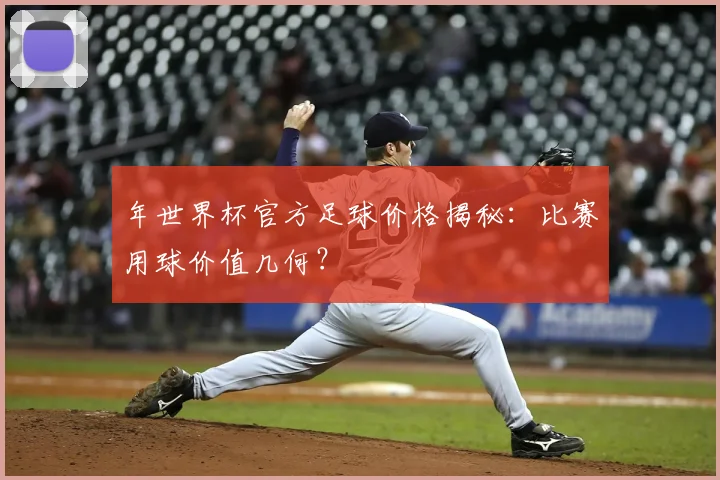年世界杯官方足球价格揭秘:比赛用球价值几何?
