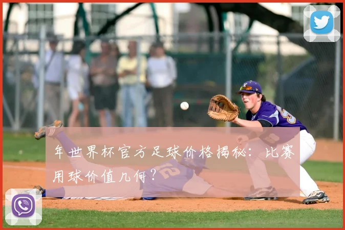 年世界杯官方足球价格揭秘:比赛用球价值几何?