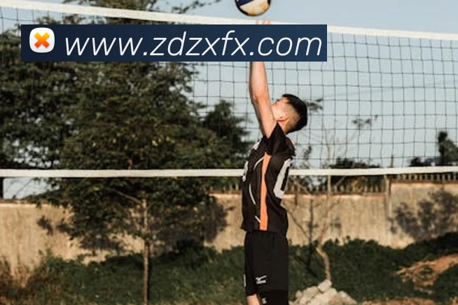 法国国家足球队队员名单更新 新老搭配备战欧洲杯关键战